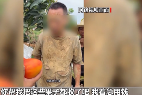 假剧本真牟利！央视曝光卖惨主播骗人流水线多万
